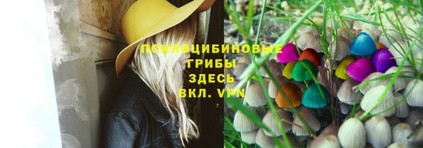 ГАЛЛЮЦИНОГЕННЫЕ ГРИБЫ Балахна