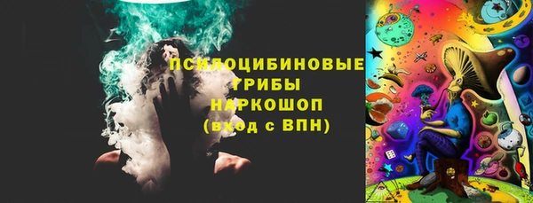 ГАЛЛЮЦИНОГЕННЫЕ ГРИБЫ Балахна
