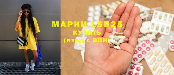 ГАЛЛЮЦИНОГЕННЫЕ ГРИБЫ Балахна