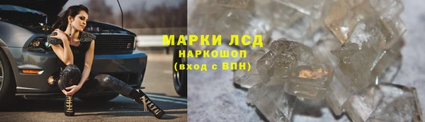ГАЛЛЮЦИНОГЕННЫЕ ГРИБЫ Балахна
