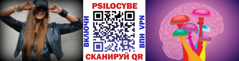 где можно купить наркотик  Терек  Псилоцибиновые грибы мухоморы 